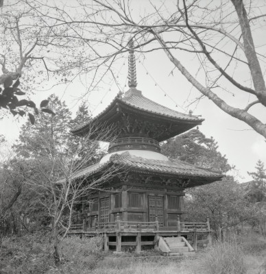 knd_09369(京都府京都市右京区嵯峨釈迦堂藤ノ木町)