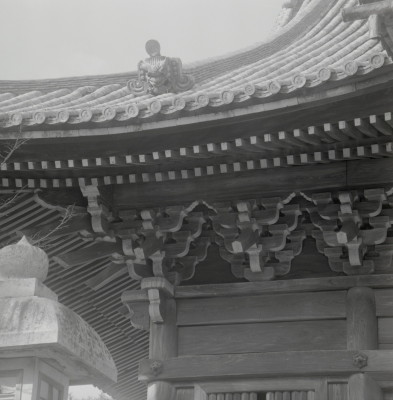 knd_09370(京都府京都市右京区嵯峨釈迦堂藤ノ木町)