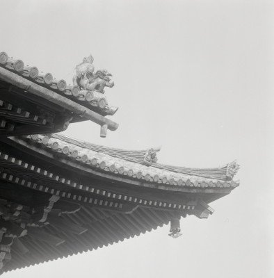 knd_09371(京都府京都市右京区嵯峨釈迦堂藤ノ木町)