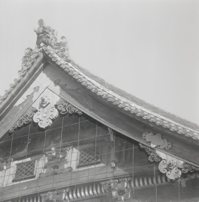knd_09373(京都府京都市右京区嵯峨釈迦堂藤ノ木町)