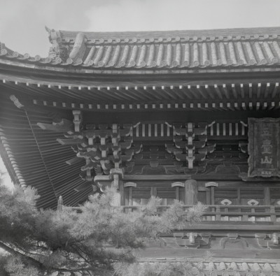 knd_09374(京都府京都市右京区嵯峨釈迦堂藤ノ木町)
