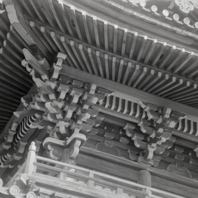 knd_09376(京都府京都市右京区嵯峨釈迦堂藤ノ木町)