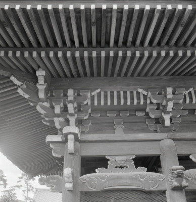 knd_09378(京都府京都市右京区嵯峨釈迦堂藤ノ木町)