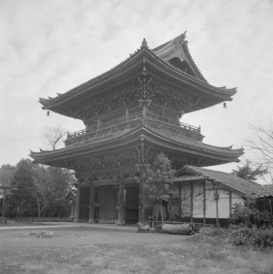 knd_09379(京都府京都市右京区嵯峨釈迦堂藤ノ木町)