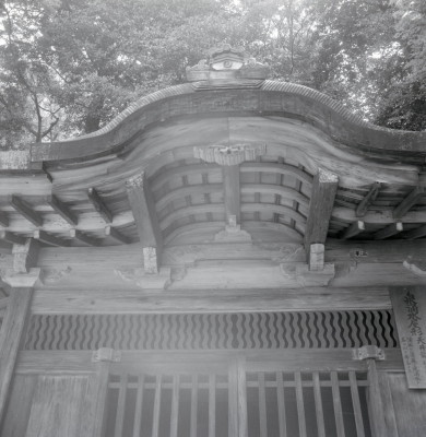knd_09411(京都府京都市東山区泉涌寺山内町２７)