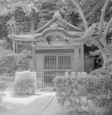knd_09412(京都府京都市東山区泉涌寺山内町２７)