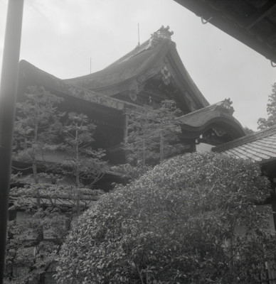 knd_09415(京都府京都市東山区泉涌寺山内町２７)