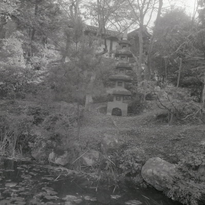 knd_09485(京都府京都市東山区泉涌寺山内町２７)