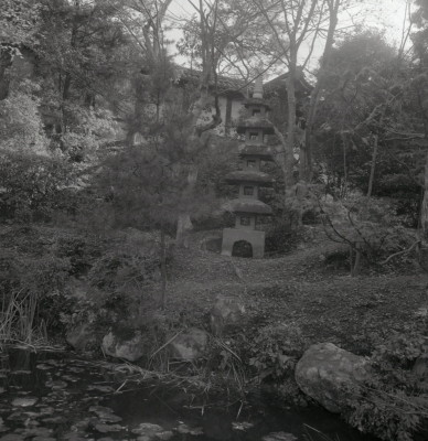knd_09501(京都府京都市東山区泉涌寺山内町２７)