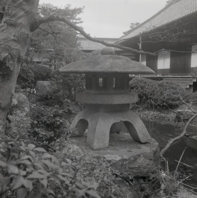knd_09520(京都府京都市東山区泉涌寺山内町２７)