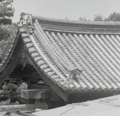 knd_09566(京都府京都市東山区泉涌寺山内町)