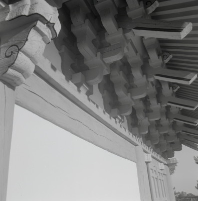 knd_09803(京都府京都市北区紫野大徳寺町)