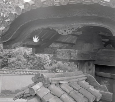 knd_10499(京都府京都市北区紫野大徳寺町７９)