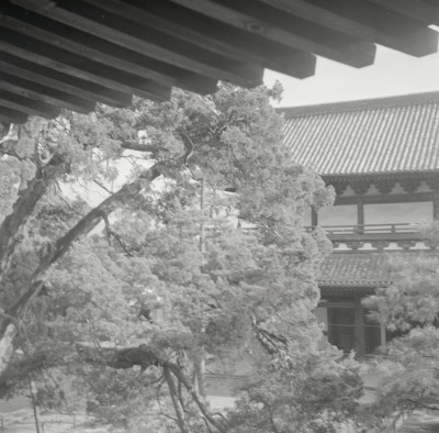 knd_10647(京都府京都市北区紫野大徳寺町７９)