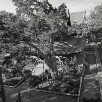 knd_10680(京都府京都市北区紫野大徳寺町７９)