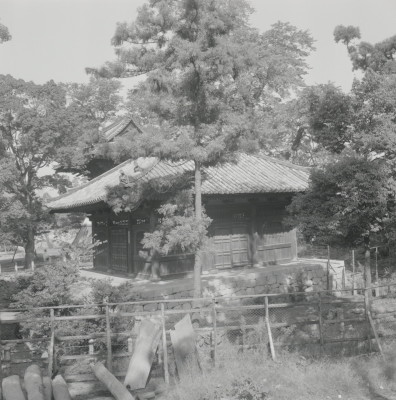 knd_10692(京都府京都市北区紫野大徳寺町７９)