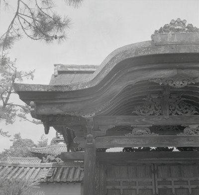 knd_10744(京都府京都市北区紫野大徳寺町５３_)