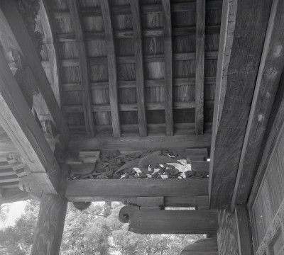 knd_10758(京都府京都市北区紫野大徳寺町５３)