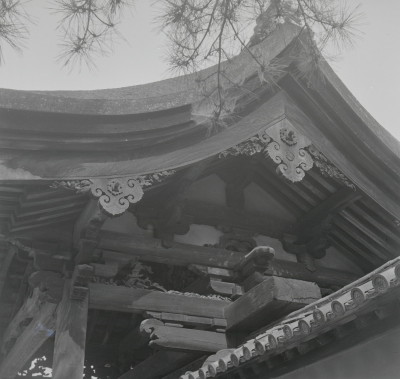 knd_10773(京都府京都市北区紫野大徳寺町５３)