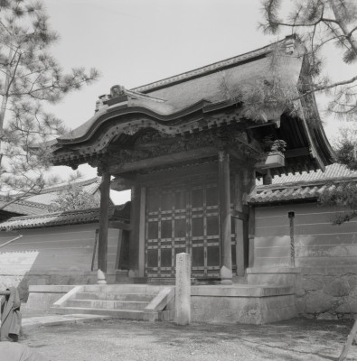 knd_10799(京都府京都市北区紫野大徳寺町５３)