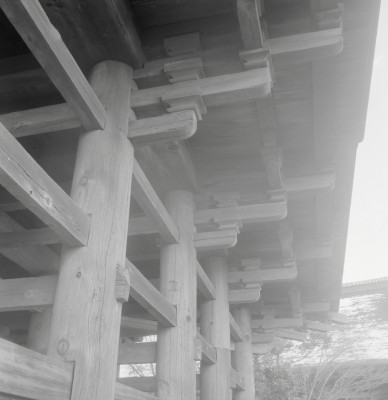knd_11039(京都府京都市伏見区醍醐醍醐山)
