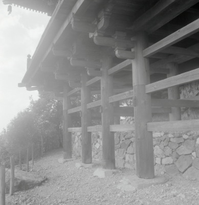 knd_11041(京都府京都市伏見区醍醐醍醐山)
