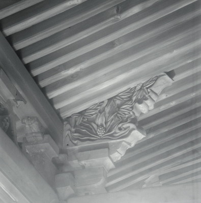 knd_11057(京都府京都市伏見区醍醐醍醐山)