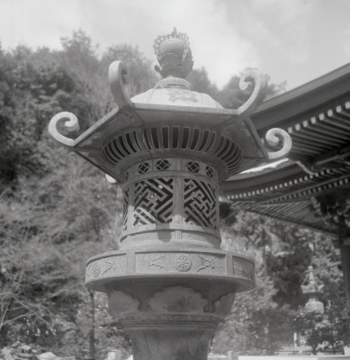 knd_11078(京都府京都市伏見区醍醐醍醐山)