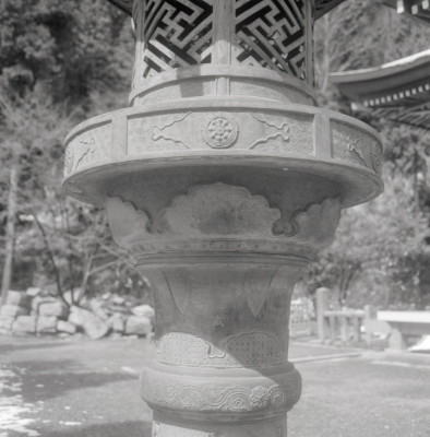 knd_11081(京都府京都市伏見区醍醐醍醐山)