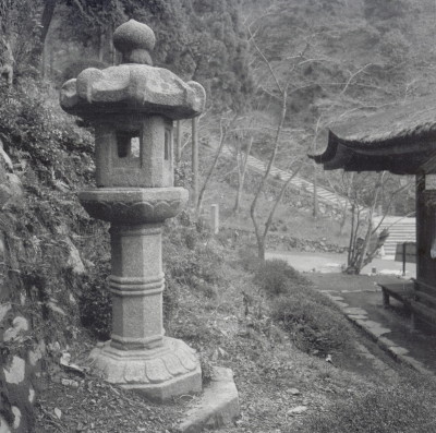 knd_11084(京都府京都市伏見区醍醐醍醐山)