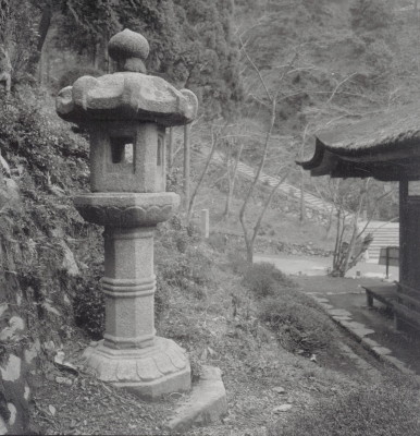 knd_11085(京都府京都市伏見区醍醐醍醐山)