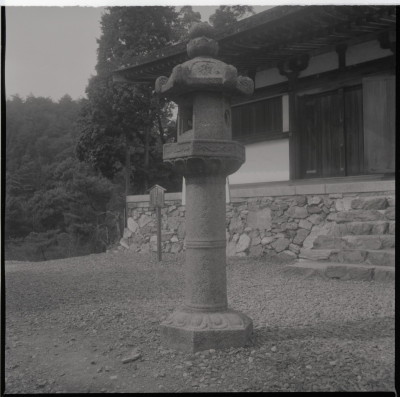 knd_11094(京都府京都市伏見区醍醐醍醐山)