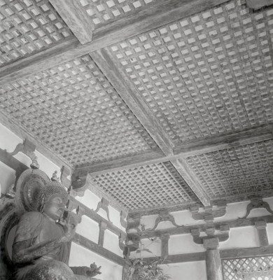 knd_11109(京都府京都市伏見区醍醐醍醐山)