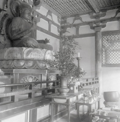 knd_11113(京都府京都市伏見区醍醐醍醐山)
