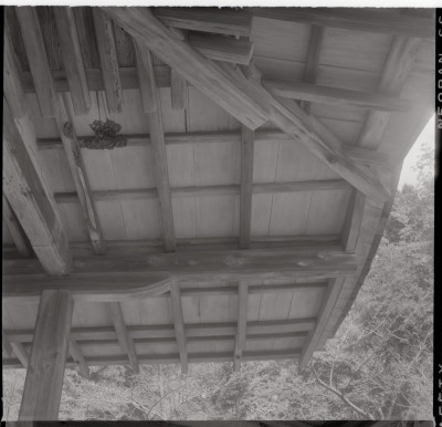 knd_11412(京都府京都市伏見区醍醐伽藍町)