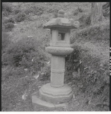 knd_11444(京都府京都市伏見区醍醐醍醐山)