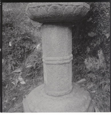 knd_11450(京都府京都市伏見区醍醐醍醐山)