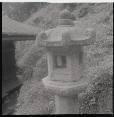 knd_11453(京都府京都市伏見区醍醐醍醐山)