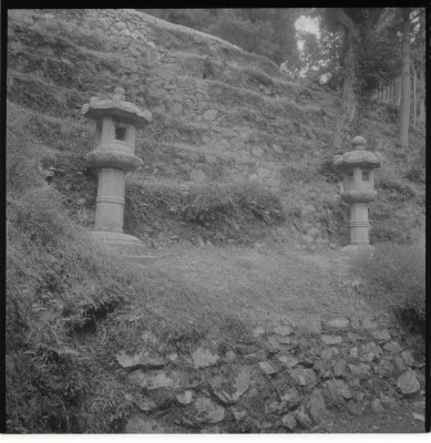 knd_11456(京都府京都市伏見区醍醐醍醐山)
