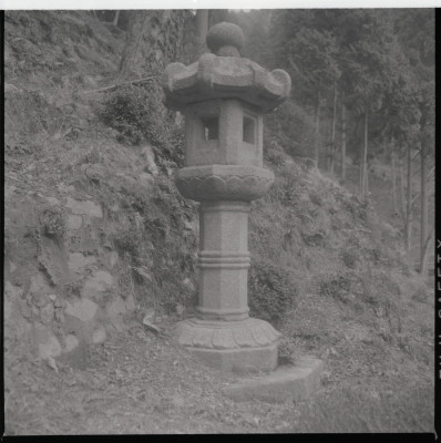 knd_11459(京都府京都市伏見区醍醐醍醐山)