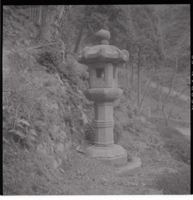 knd_11460(京都府京都市伏見区醍醐醍醐山)