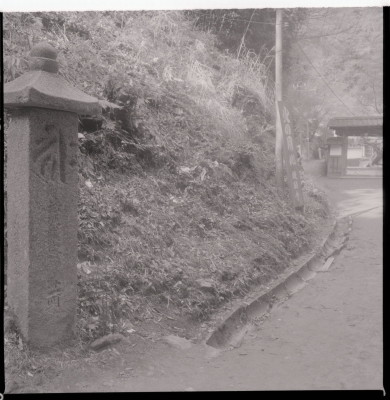 knd_11463(京都府京都市伏見区醍醐醍醐山)