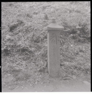 knd_11464(京都府京都市伏見区醍醐醍醐山)