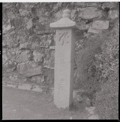 knd_11465(京都府京都市伏見区醍醐醍醐山)