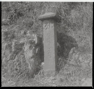 knd_11467(京都府京都市伏見区醍醐醍醐山)
