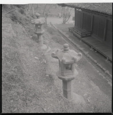 knd_11469(京都府京都市伏見区醍醐醍醐山)