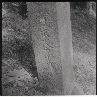 knd_11474(京都府京都市伏見区醍醐醍醐山)
