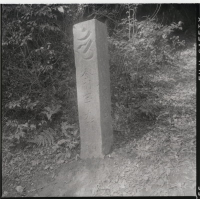knd_11475(京都府京都市伏見区醍醐醍醐山)