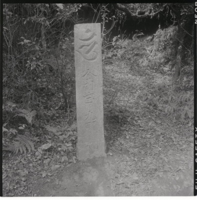 knd_11476(京都府京都市伏見区醍醐醍醐山)