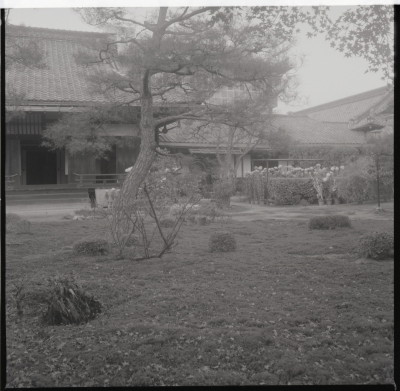 knd_11574(京都府京都市上京区御所八幡町１０９)